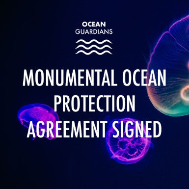 200-Countries-Sign-Ocean-Protection-Agreement Horse Guards London Dry Gin Ltd